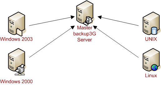Figure 1 - Backup network